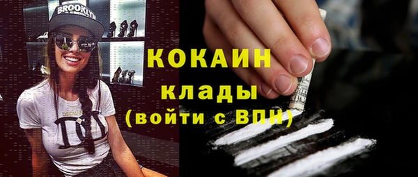 шишки Балабаново
