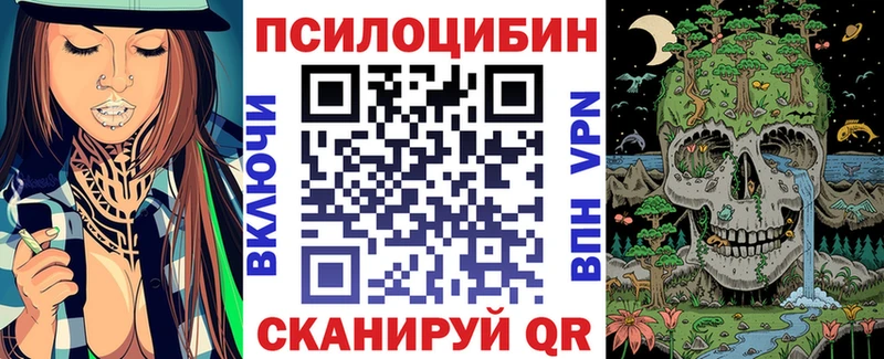 наркошоп  Северо-Курильск  Галлюциногенные грибы Cubensis 